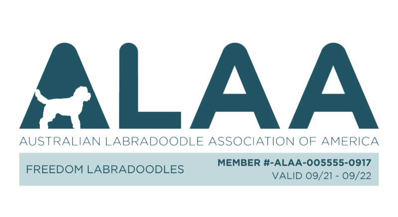 ALAA 21-22 transparent background